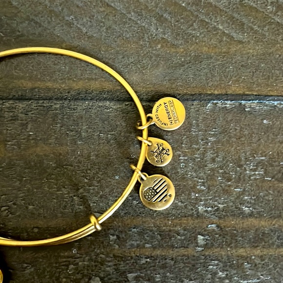 *NWOT* Alex and Ani paw print charm bracelet - Picture 2 of 3